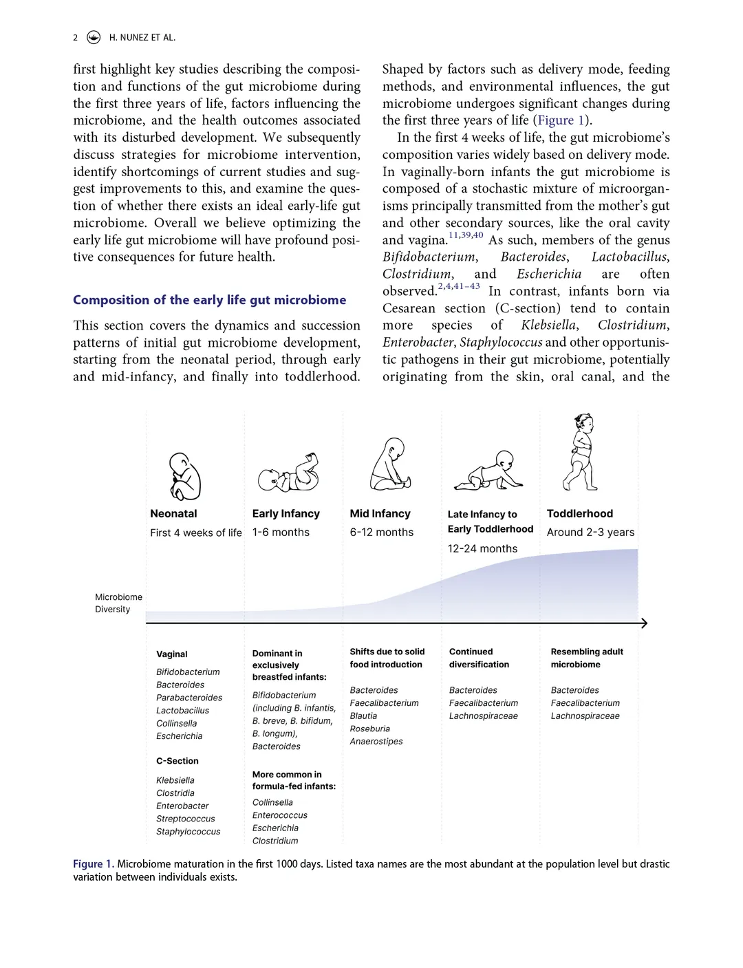 A sample of the early life Gut paper