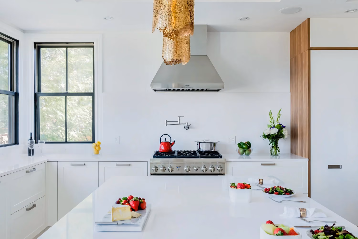 Boston Newton Transitional European Kitchen