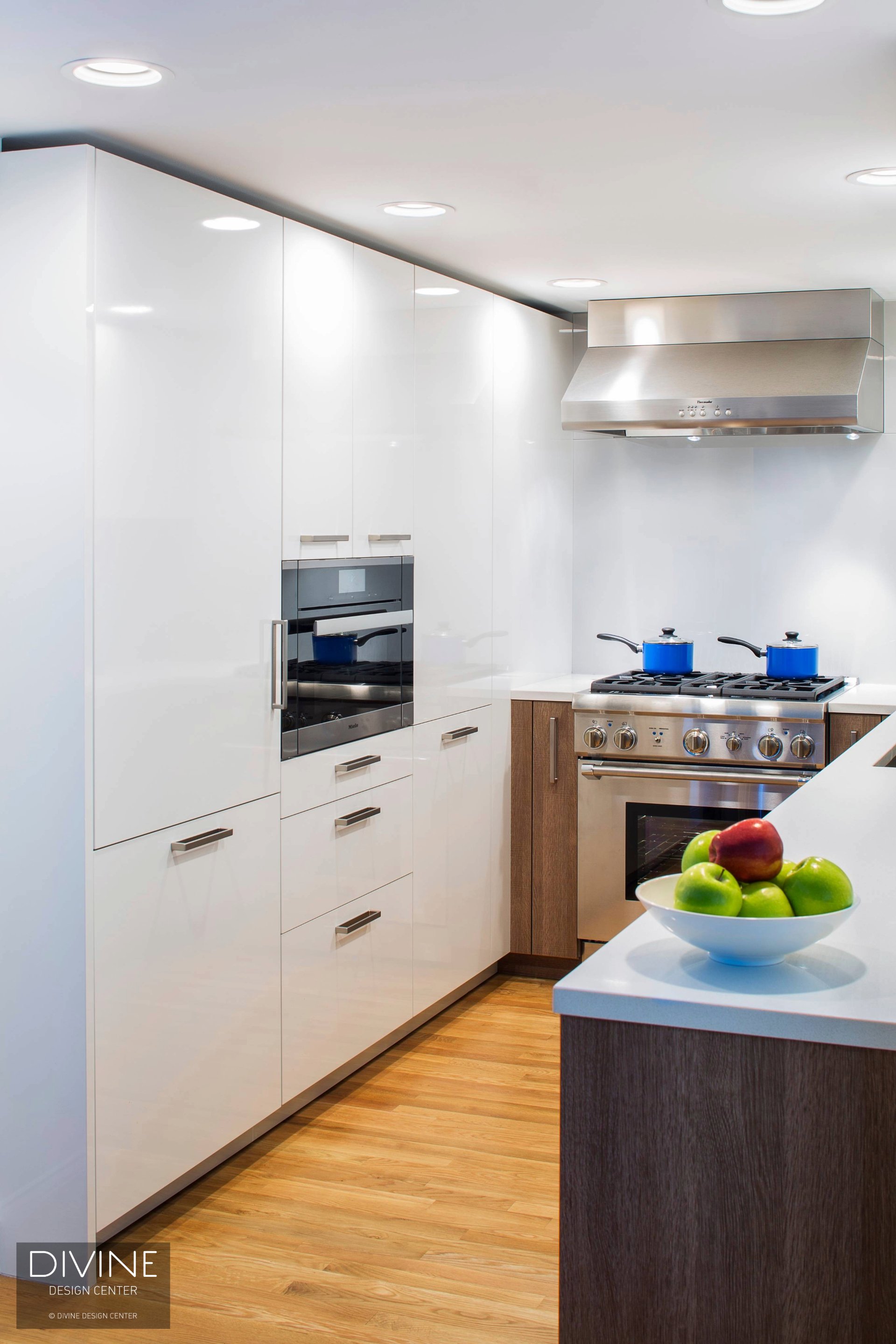 Boston Downtown Crossing Tremont Contemporary Modern Leicht Kitchen