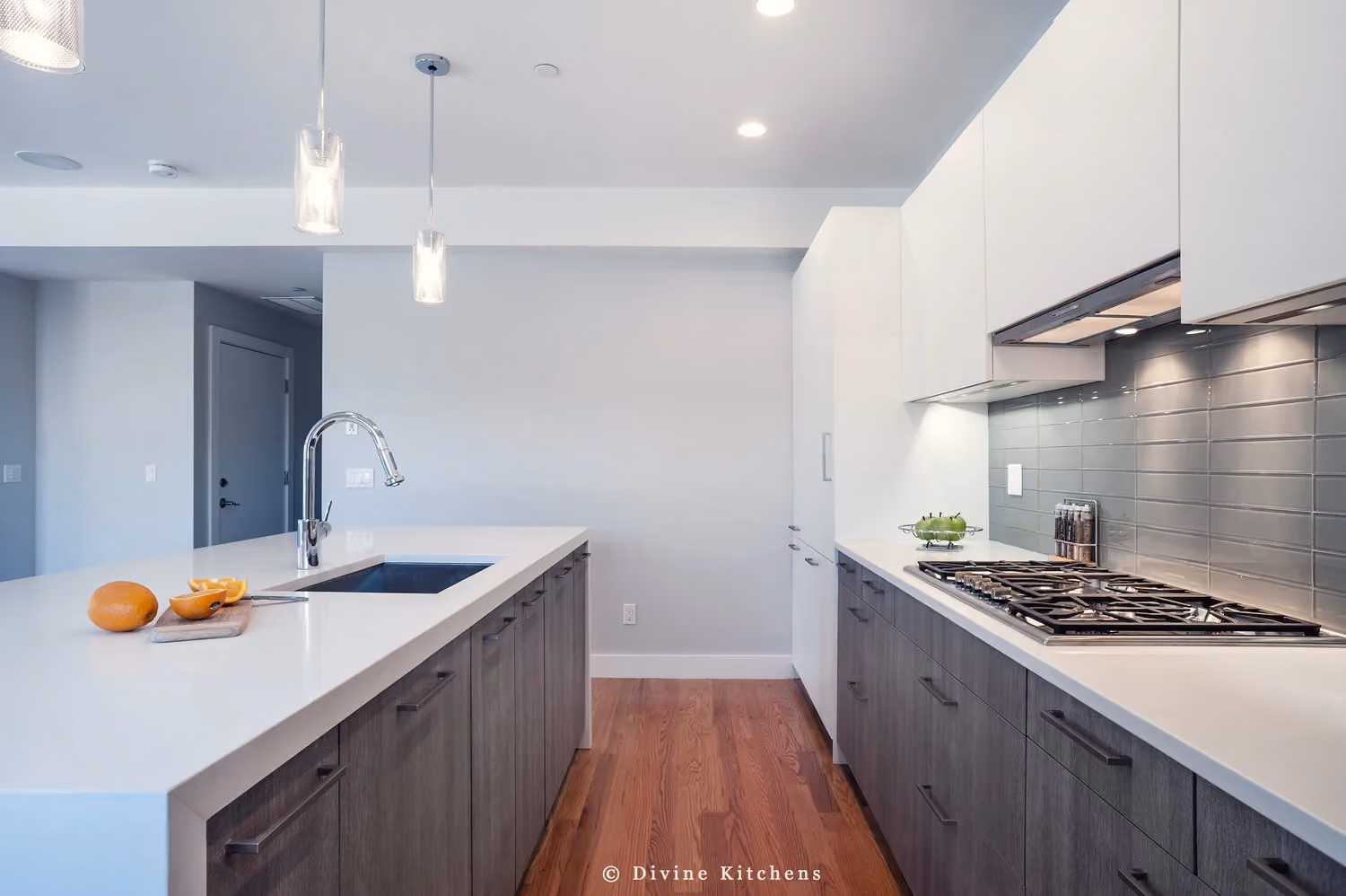 South Boston Modern Multi-Unit Development, by Divine Design Center (view 5)