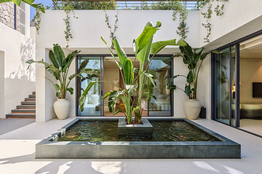 Modern outdoor courtyard with a square water feature at the center holding large green tropical plants, surrounded by white walls, potted plants, and glass sliding doors leading to indoor rooms.