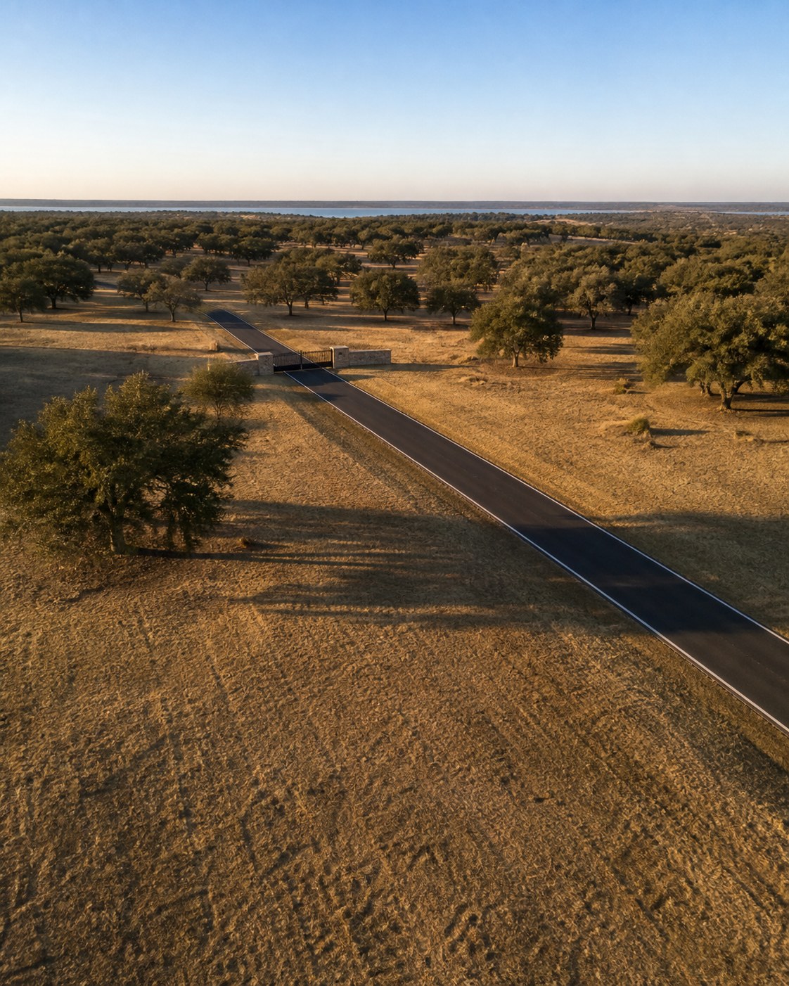 Aerial view of a paved road through a gated entrance, with oaks and a lake on the horizon