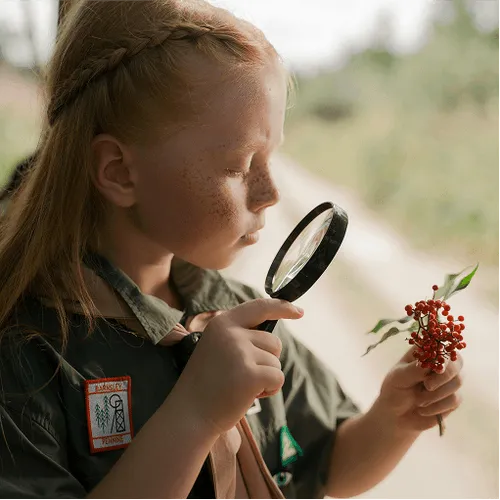 A young girl with freckles examines a small branch with red berries using a magnifying glass, outdoors with a blurred background.