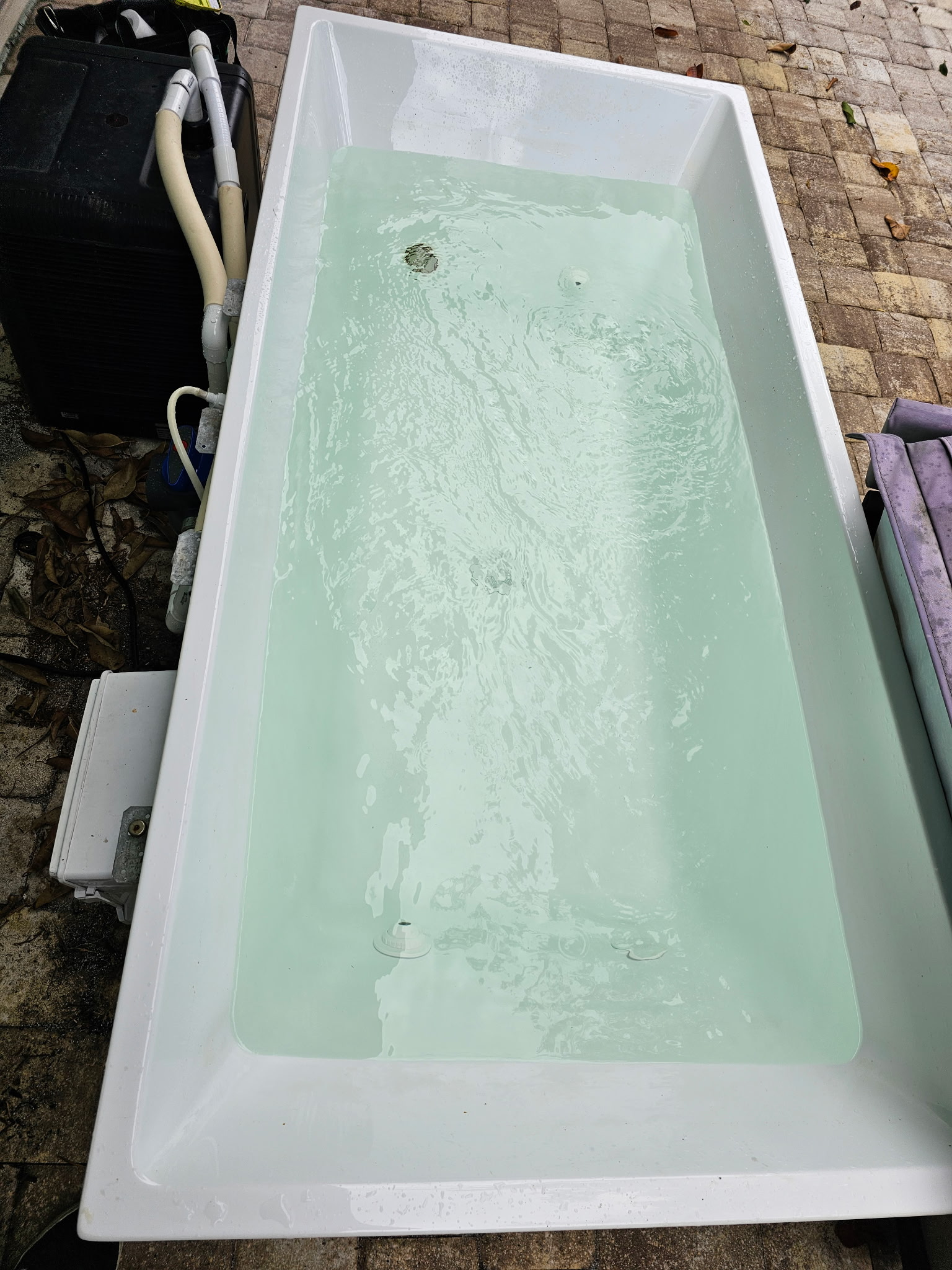 Cold plunge tub after THE DEEP cleaning with clean circulating water.
