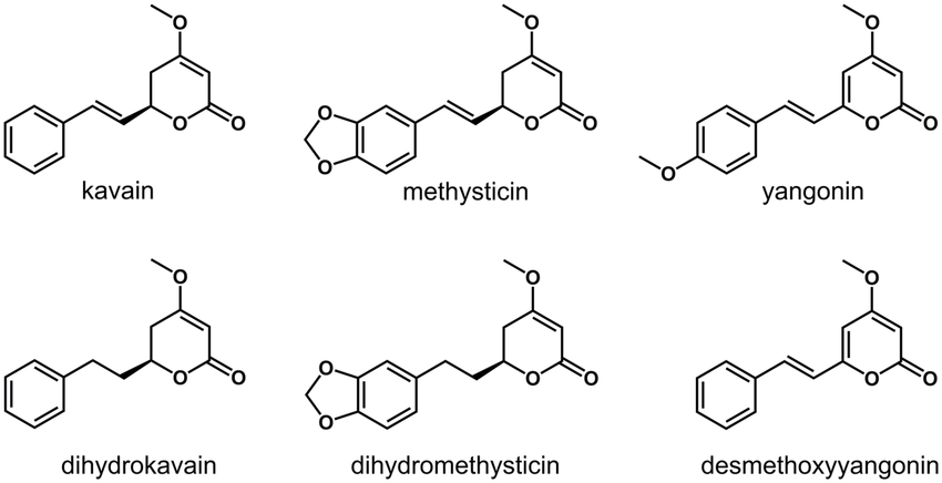 Chemical structures of the six major kavalactones: kavain, methysticin, yangonin, dihydrokavain, dihydromethysticin and desmethoxyyangonin