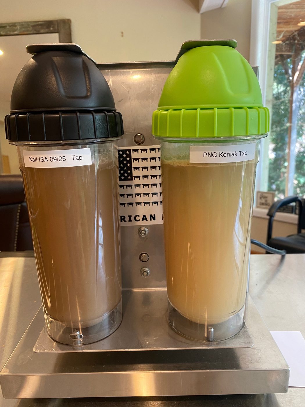 The same two bottles after shaking, now filled with opaque tan kava beverage