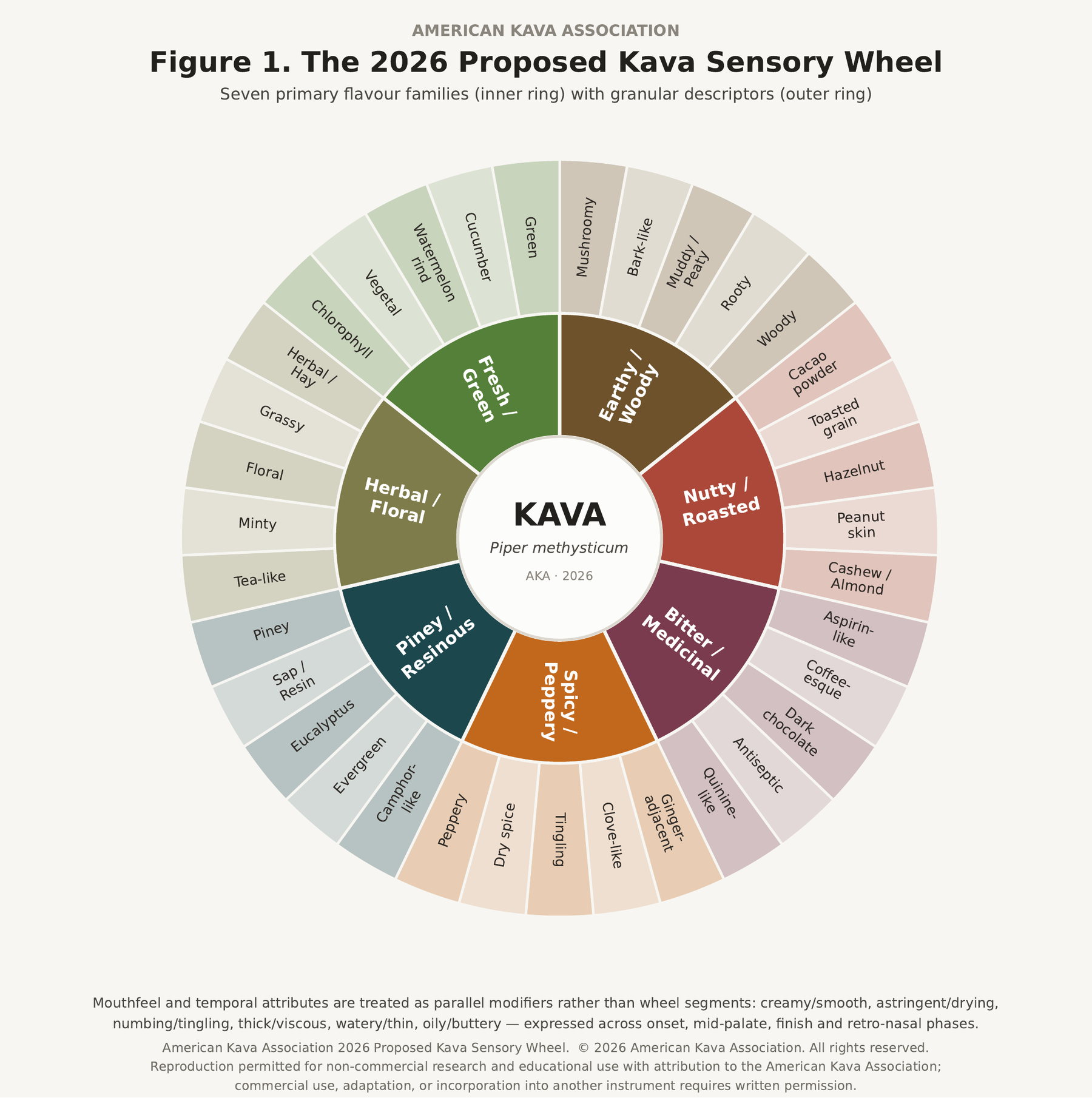 Figure 1. Circular kava sensory wheel: seven primary flavor families on the inner ring — earthy/woody, nutty/roasted, bitter/medicinal, spicy/peppery, piney/resinous, herbal/floral and fresh/green — each resolving into five granular descriptors on the outer ring.
