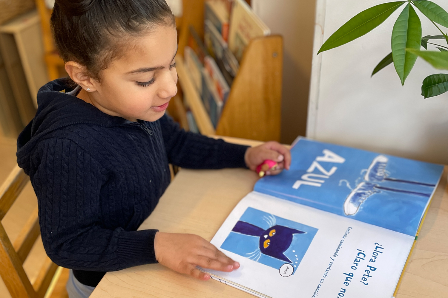 Student reading a Pete the Cat book in Spanish