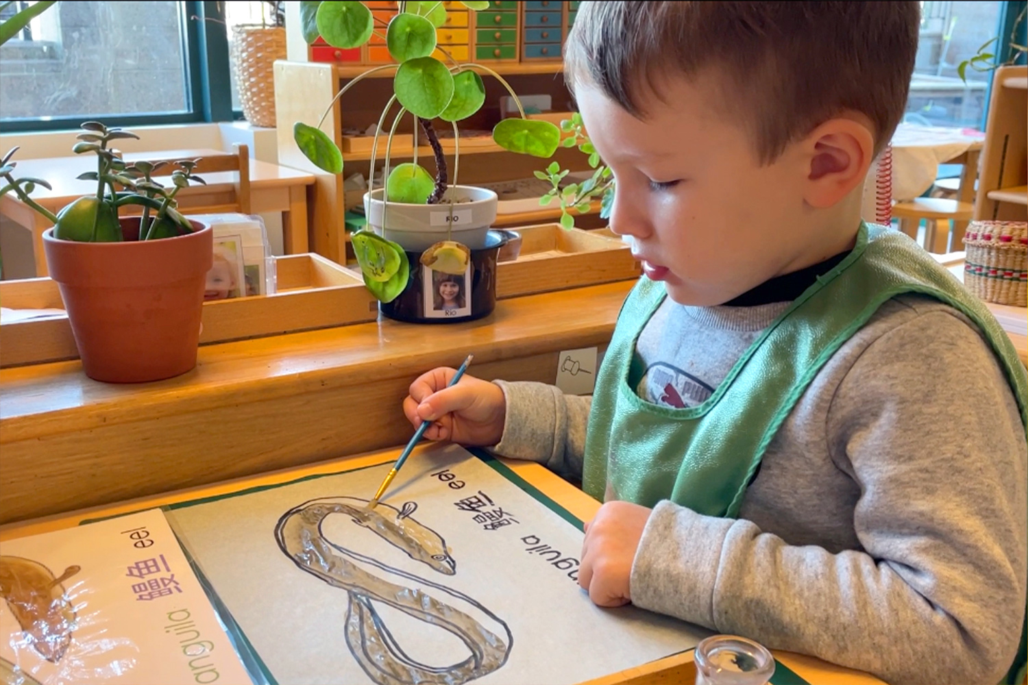 Battery Park Montessori student paints a picture of an eel, represented in Spanish, Mandarin, and, English