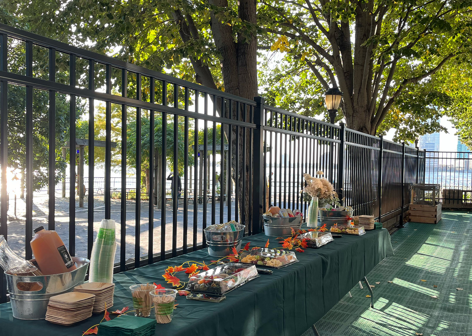 Image of Battery Park Montessori patio party