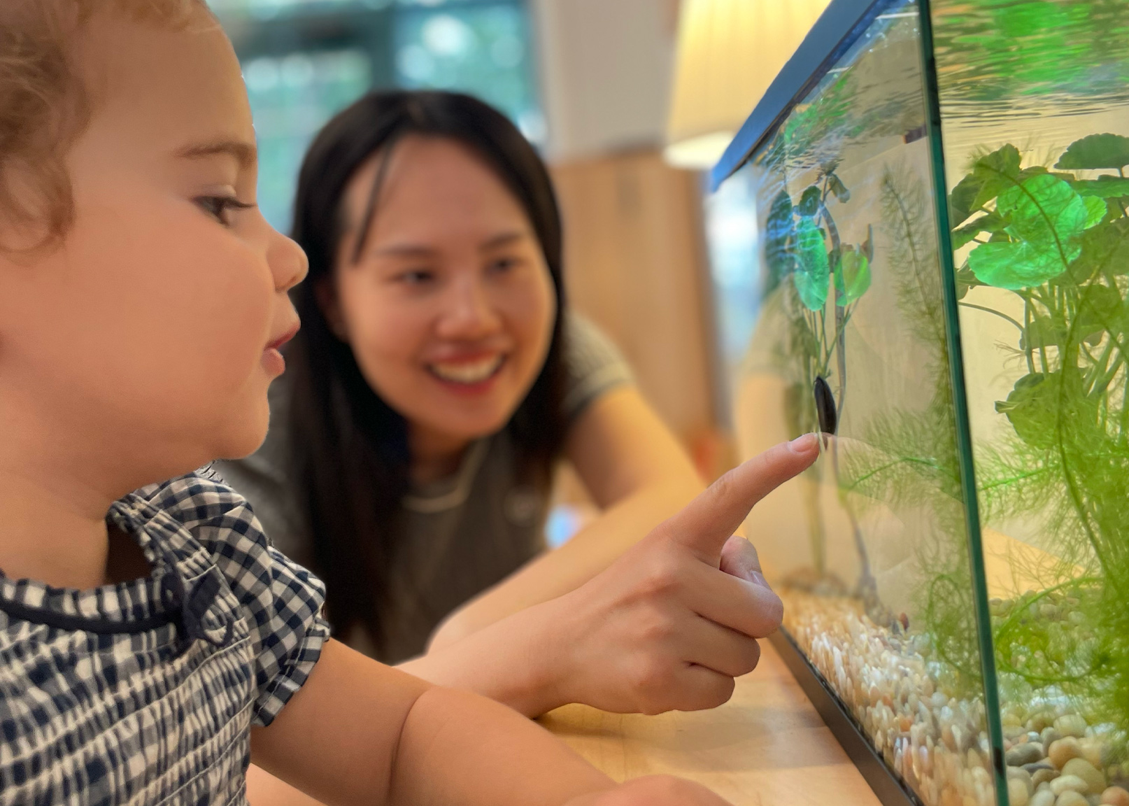 Teacher pointing out fish in fishtank to student in the Battery Park Montessori classroom