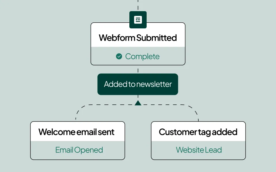 An automation for a newsletter system, showing someone submitting a form and being sent a welcome email and getting tagged as a website lead