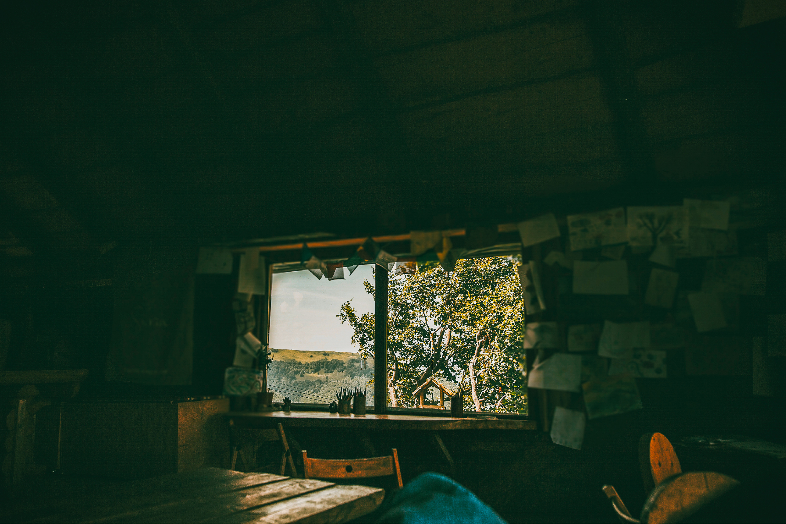 A dim cabin interior with a window looking out onto trees.