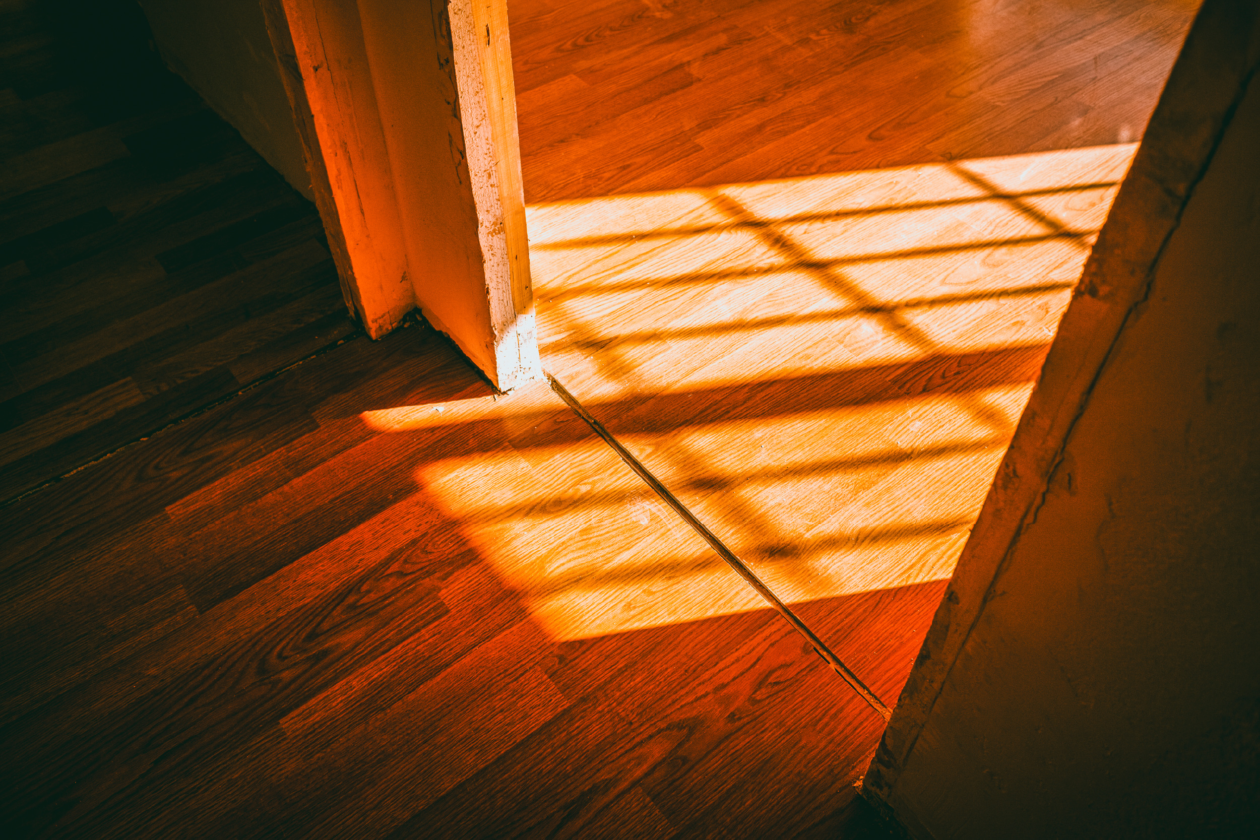 Sunlight and window shadows fall across a hardwood floor by an open door.