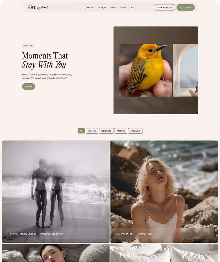 Travel studios & Custom trip Webflow Template