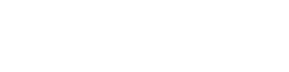 DIREKT Kurierdienst