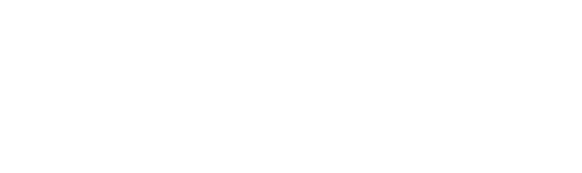 Bucher Transporte