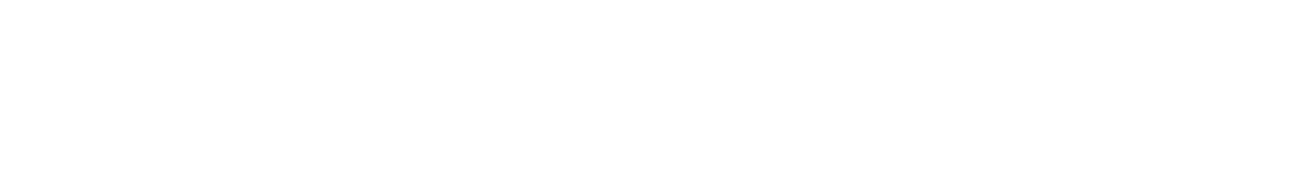 Tectum Security