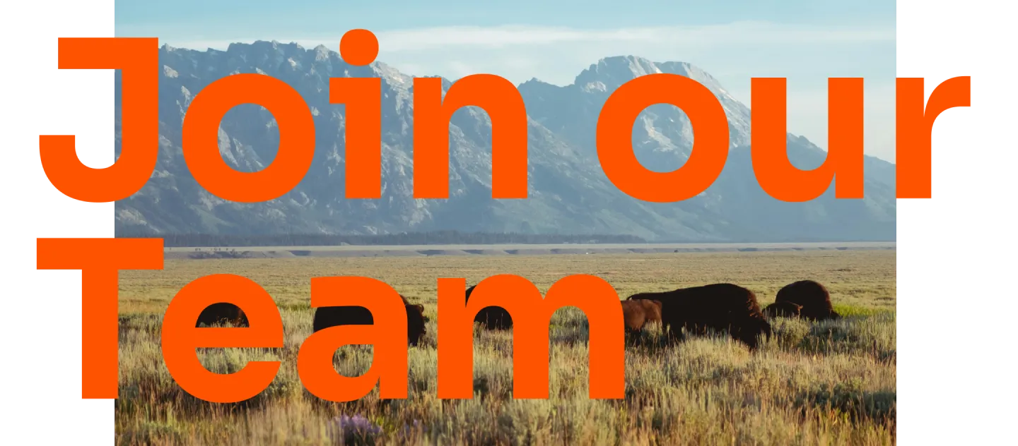 Bison grazing in a grassy field with mountains in the background and large orange text overlay saying 'Join our Team'.
