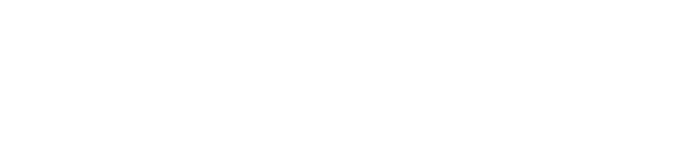 Lange & Fetter Ford Logo