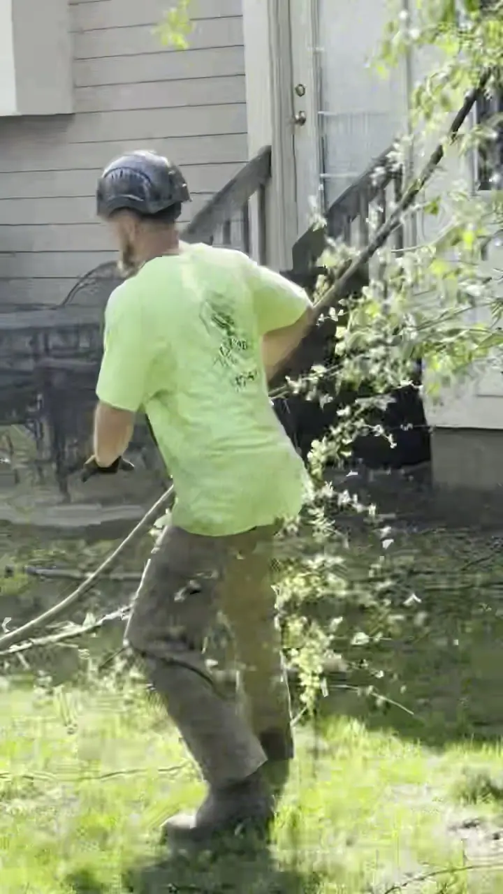 Worker carrying cut branches during residential tree work