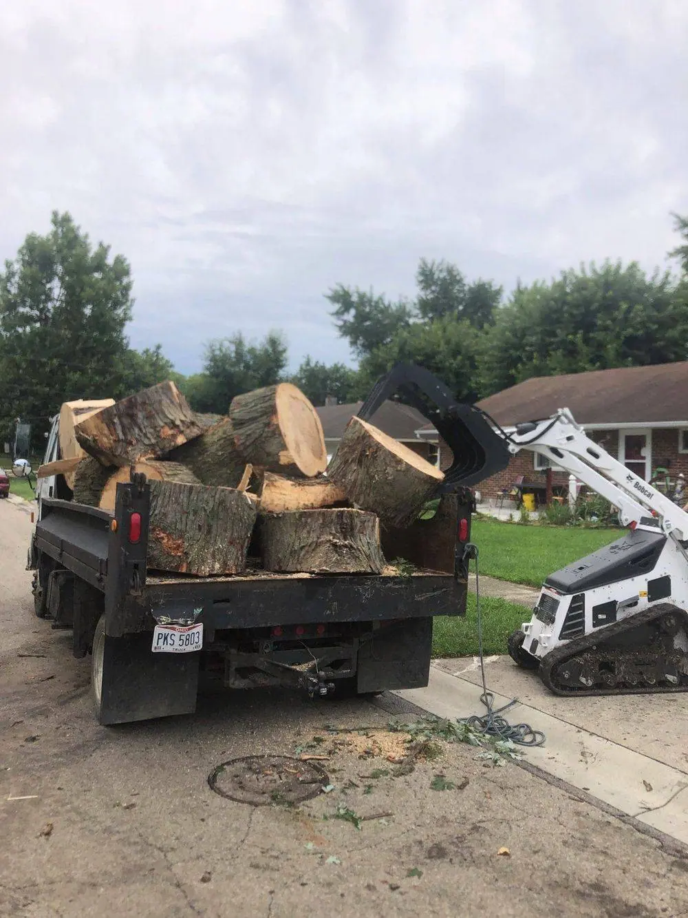 Loader moving large cut tree sections to a work truck