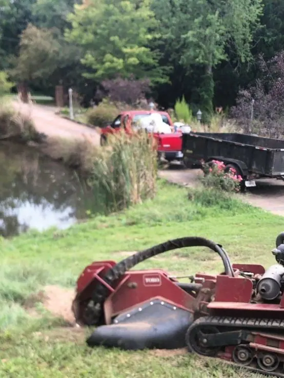 Compact stump grinder working beside a pond