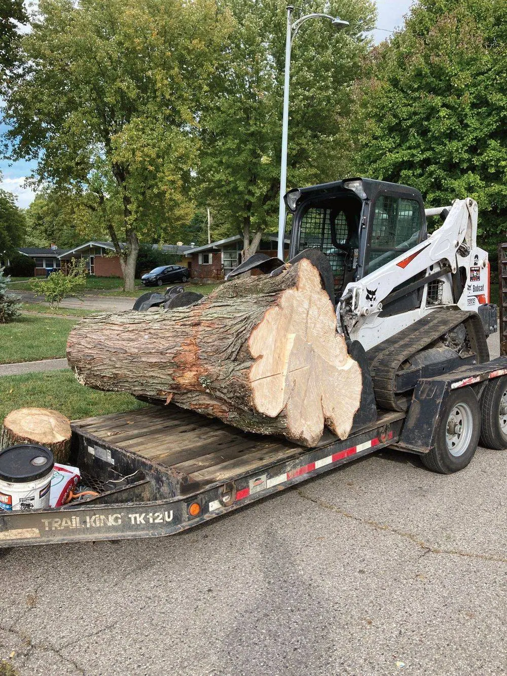 Compact loader carrying a cut trunk section