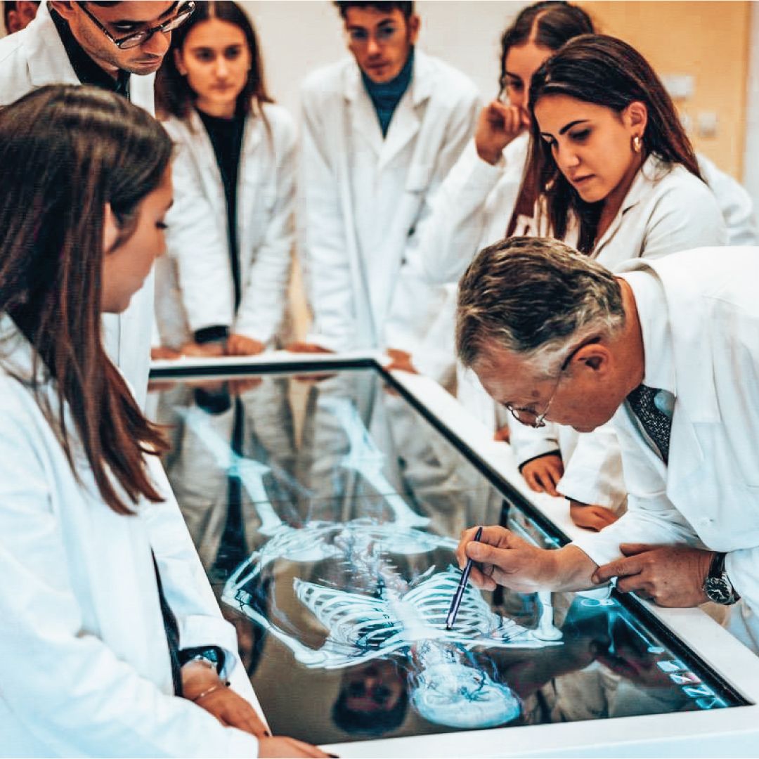 Veterinary clinicians examining a dog