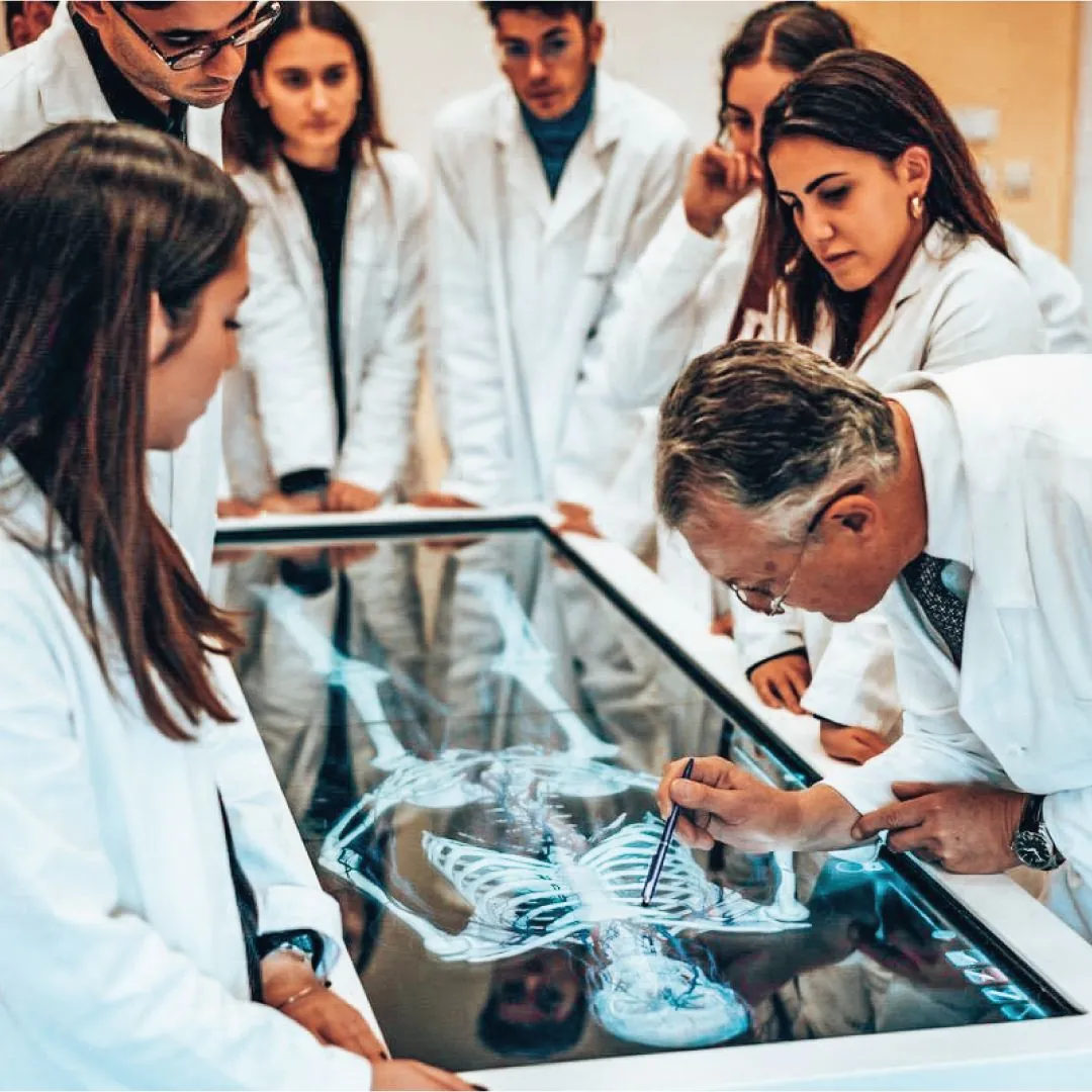 Veterinary clinicians examining a dog