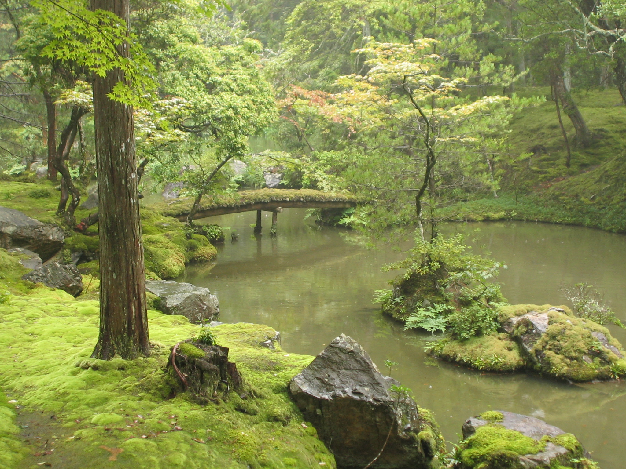 Trees, moss-covered islands and water in the pond garden at Saihō-ji, photographed in 2004.