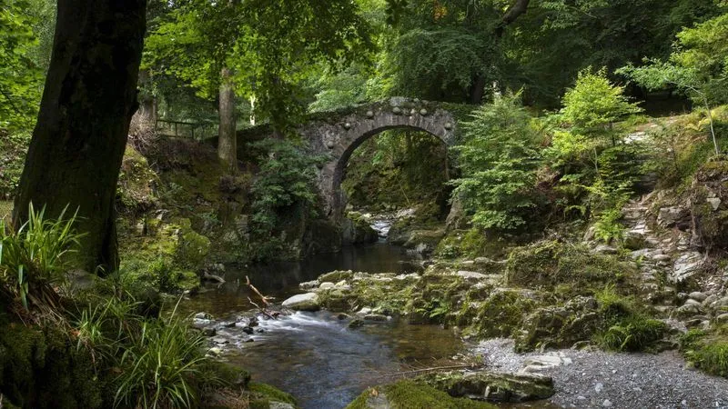 Stone bridge and ancient trees in Tollymore Forest Park, County Down