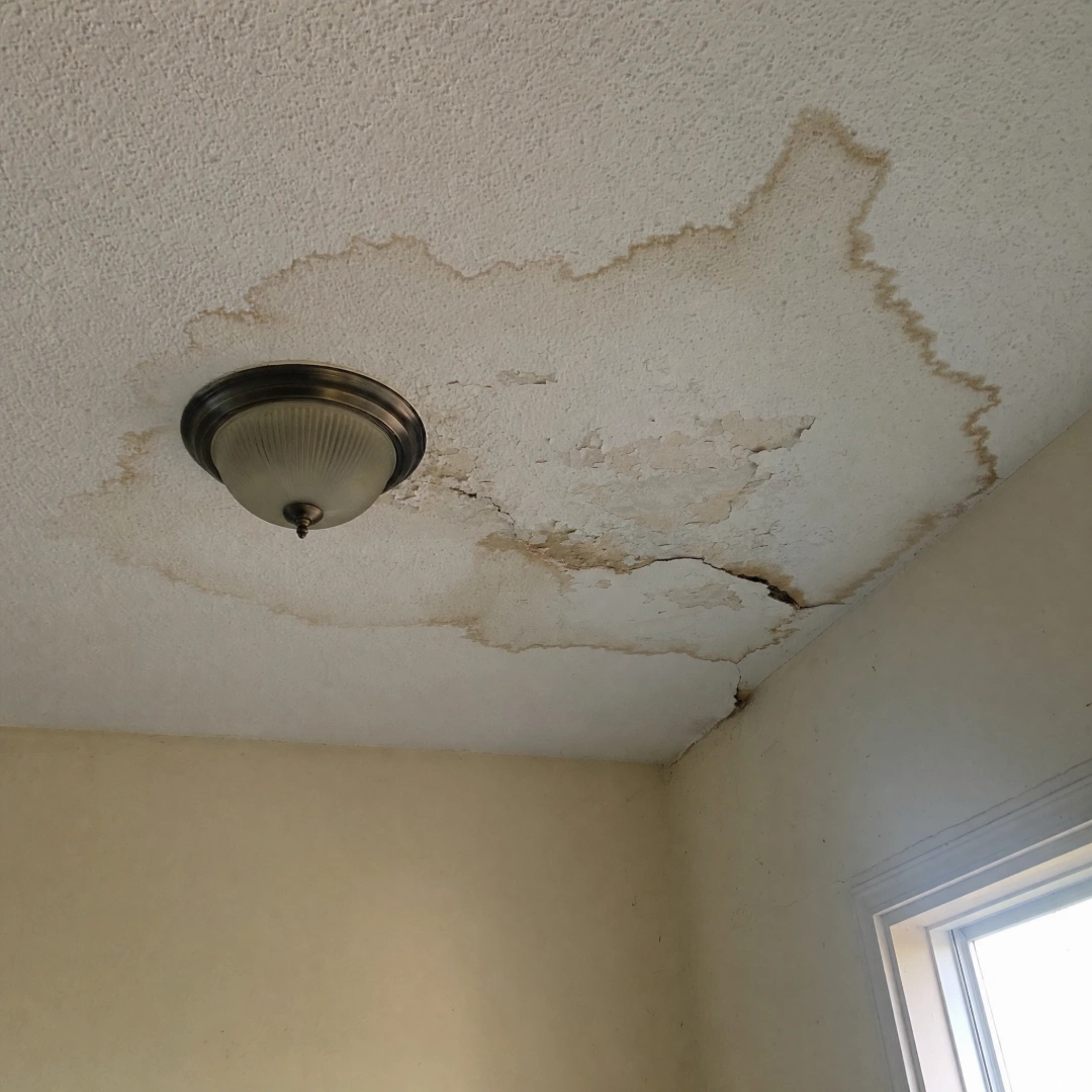 Brown water stain spreading across an interior ceiling below a roof leak