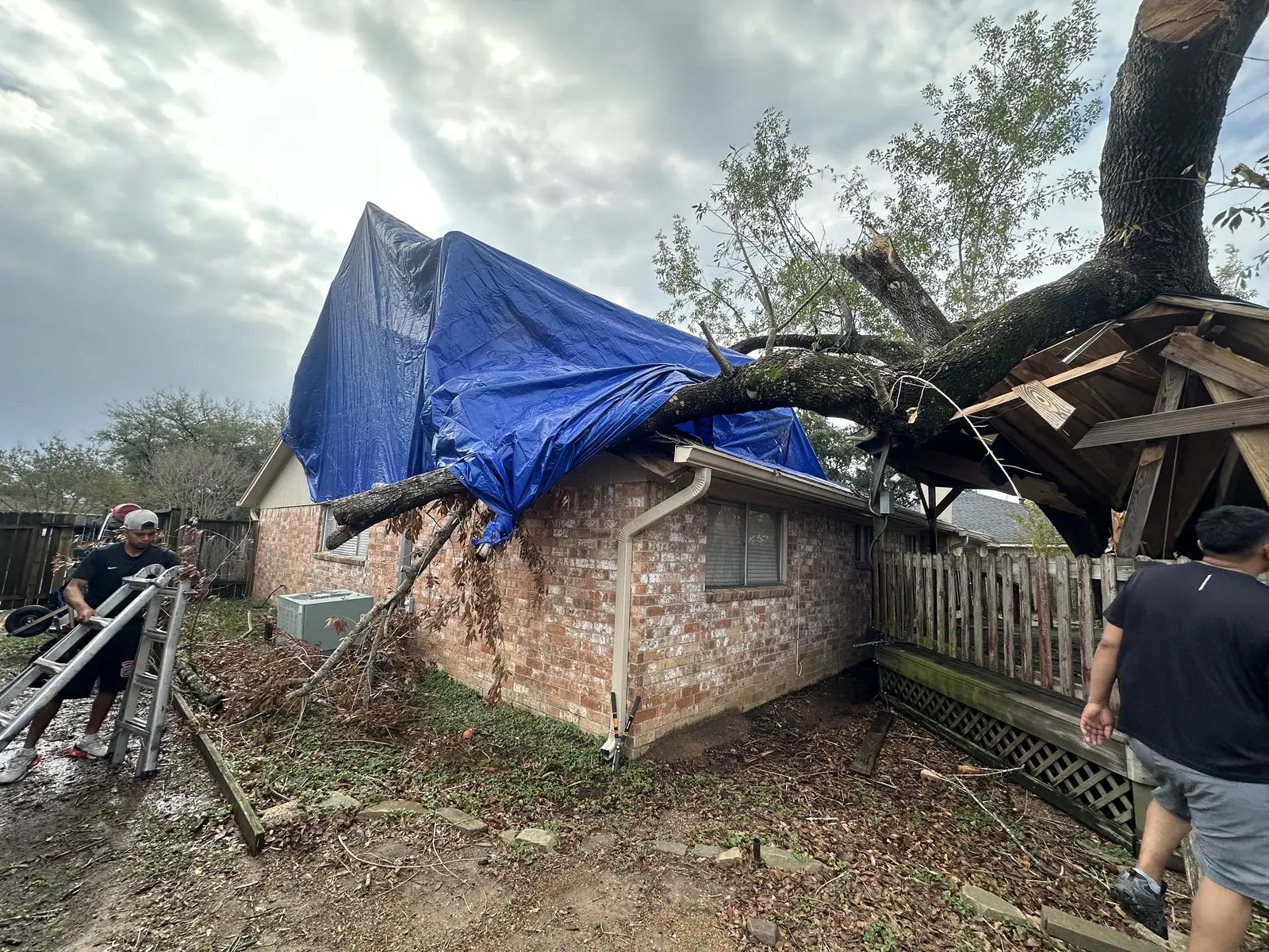 Fallen tree across a Houston backyard structure with an emergency tarp in place after a storm