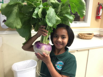 What you Need to Know to Start a School Garden