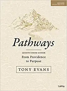 Pathways: From Providence to Purpose, 2019