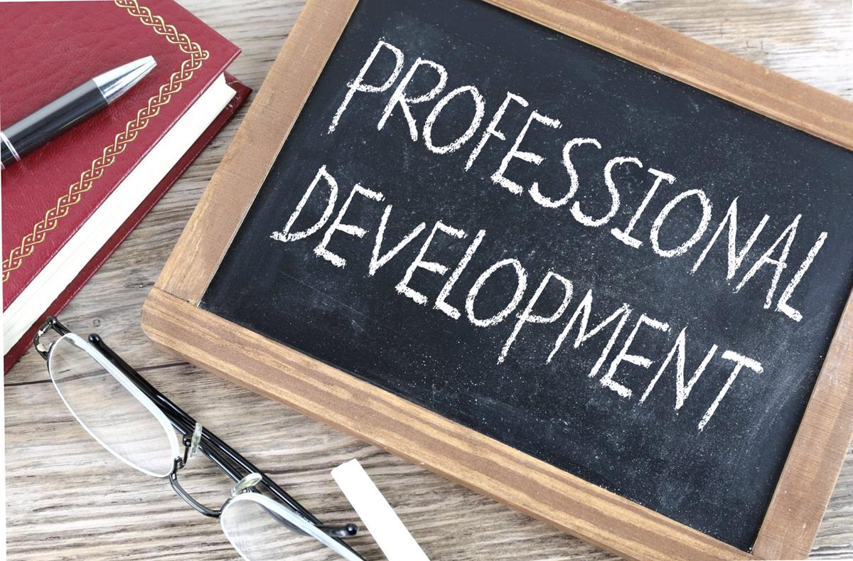 WHY PROFESSIONAL DEVELOPMENT MATTERS