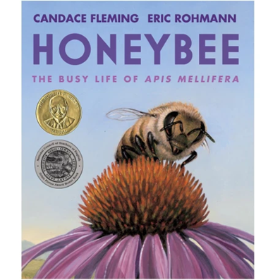 HONEYBEE, the Busy Life of Apis Mellifera