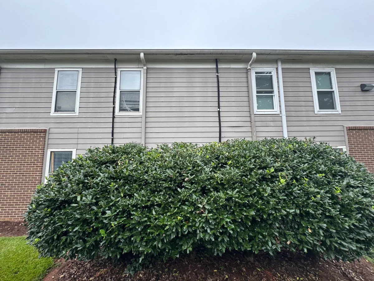 Chestnut Plains Court Area - Winston-Salem, NC