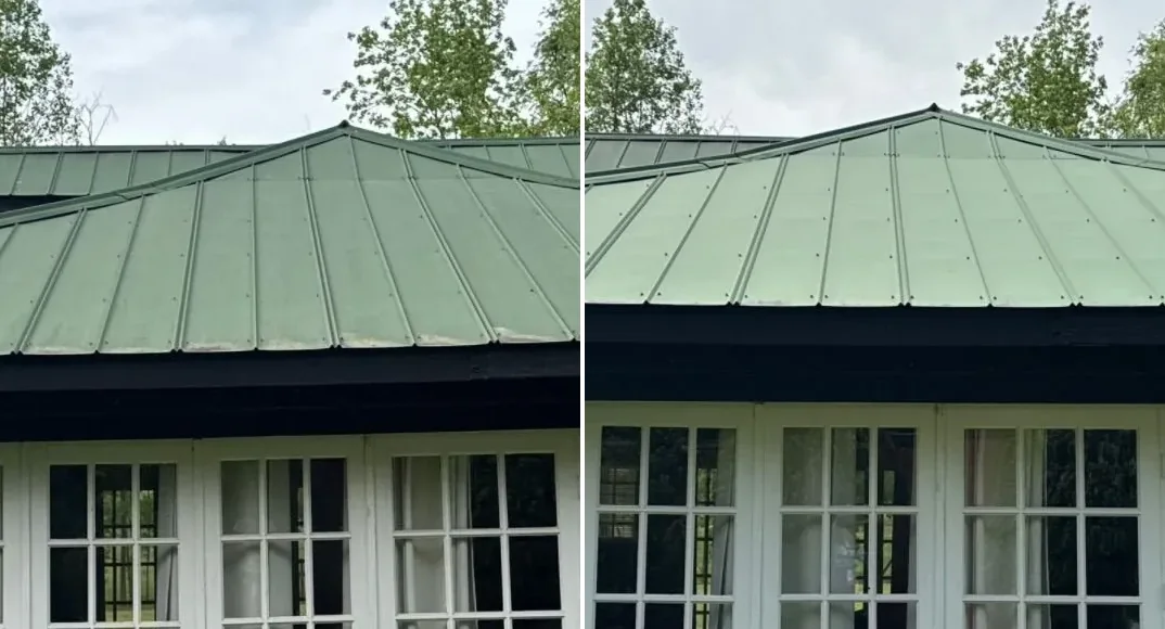 Roof Cleaning