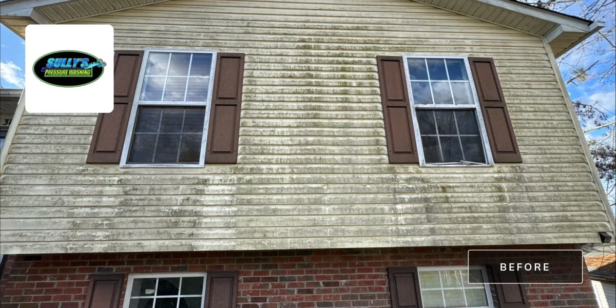 Williamson Street Area - Lexington, NC before