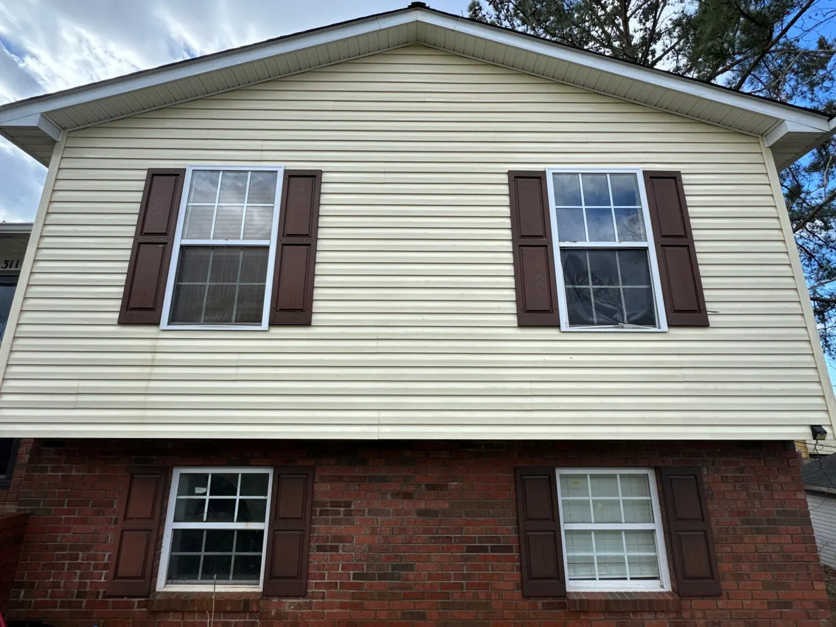 Williamson Street Area - Lexington, NC