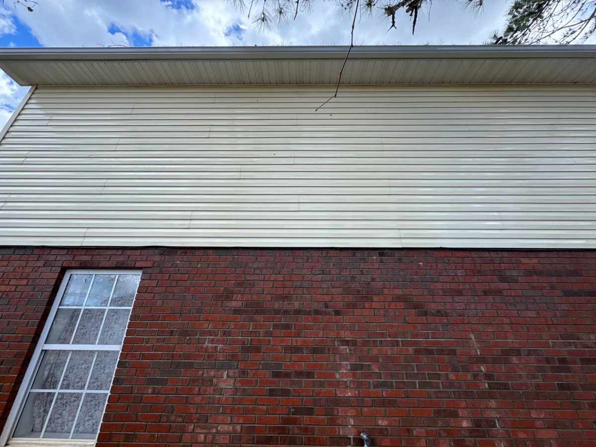 Williamson Street Area - Lexington, NC