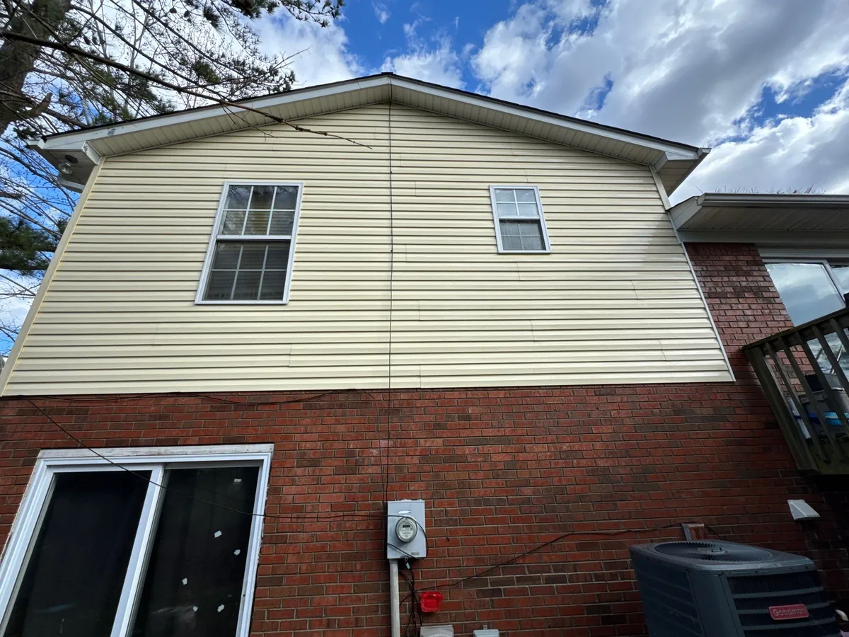 Williamson Street Area - Lexington, NC