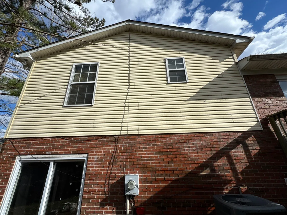 Williamson Street Area - Lexington, NC