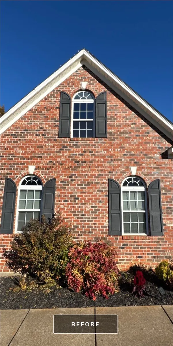 Conifer Court Area - Advance, NC before