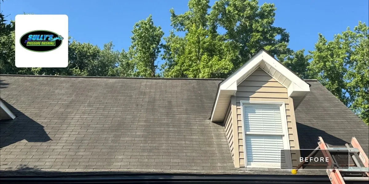 Palace Drive Area - Winston-Salem, NC before