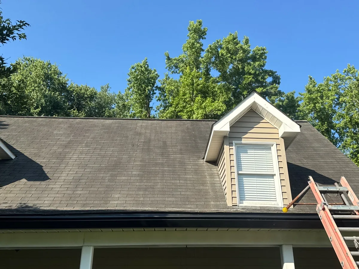 Palace Drive Area - Winston-Salem, NC