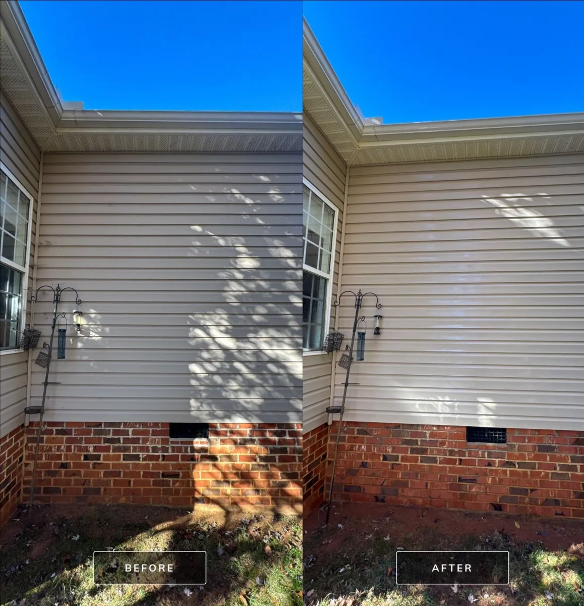 Conifer Court Area - Advance, NC