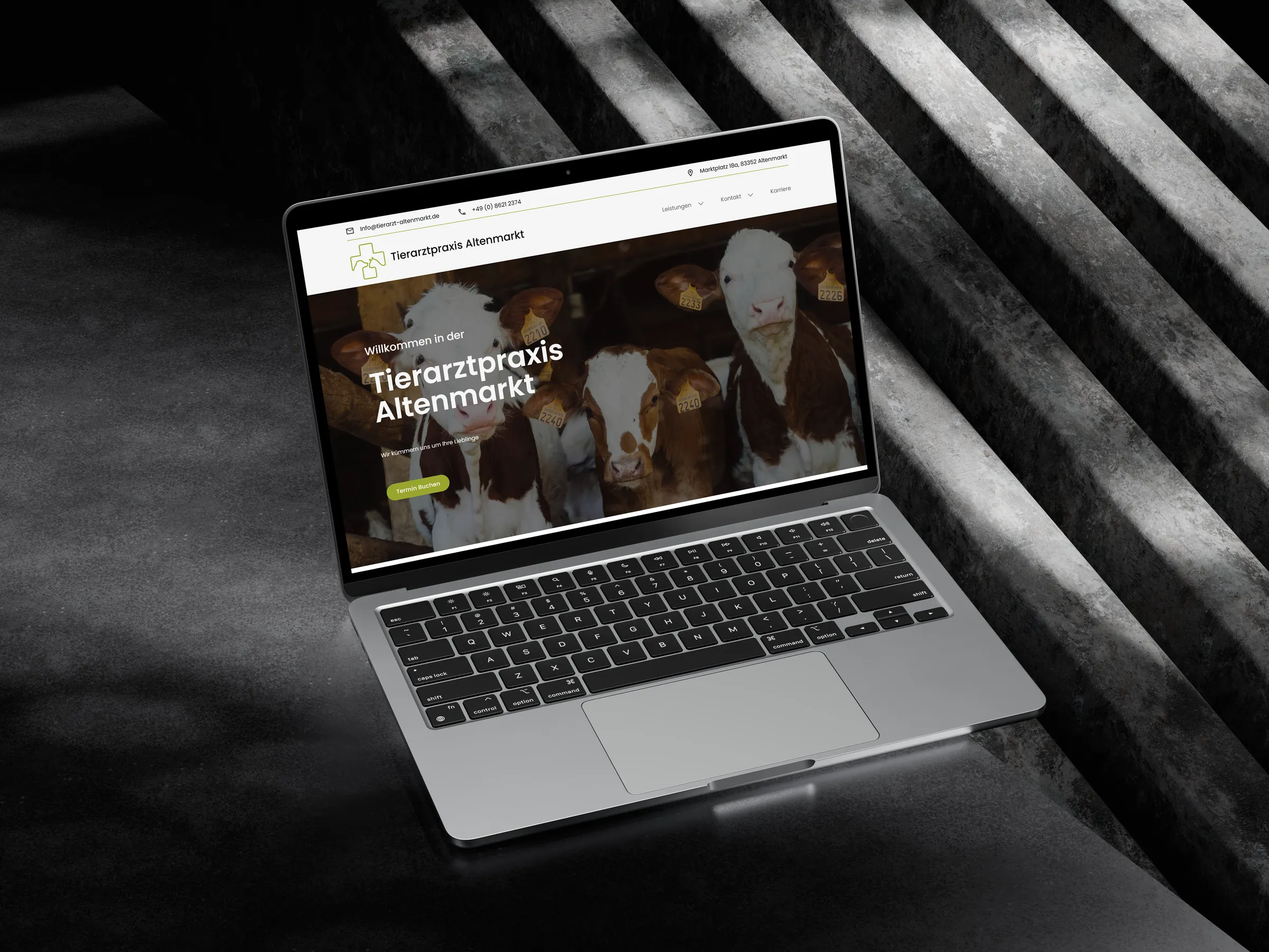 Website auf einem MacBook
